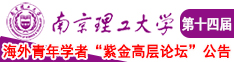 晓晓看看操大白逼南京理工大学第十四届海外青年学者紫金论坛诚邀海内外英才！